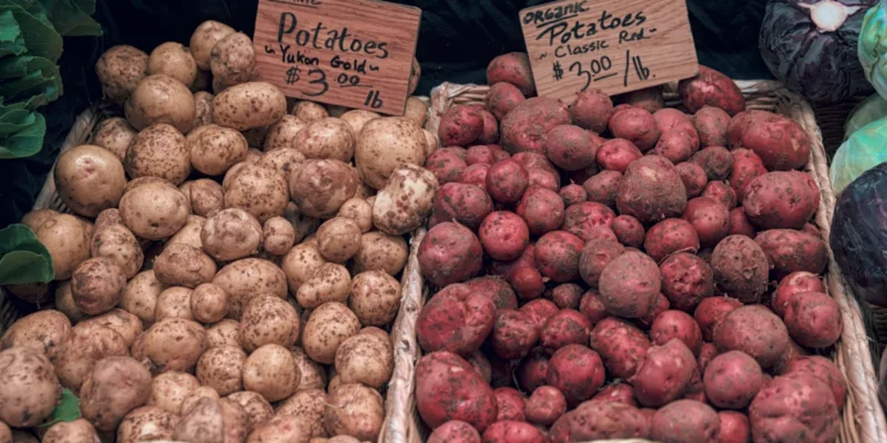 How To Store Potatoes